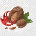 gałka muszkatołowa