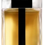 Dior Homme 2020: Nowoczesny Monolit Męskiej Elegancji